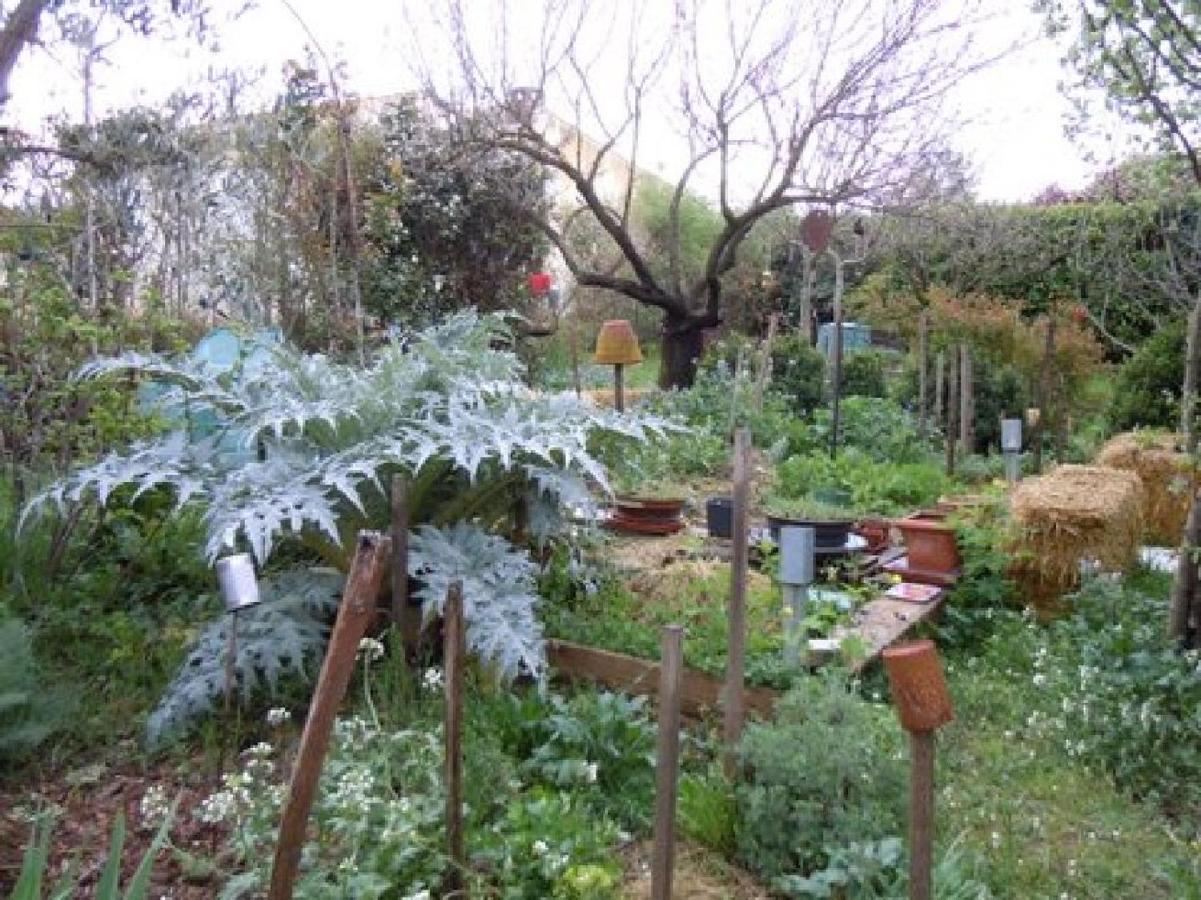 Apiflore Garéoult Esterno foto