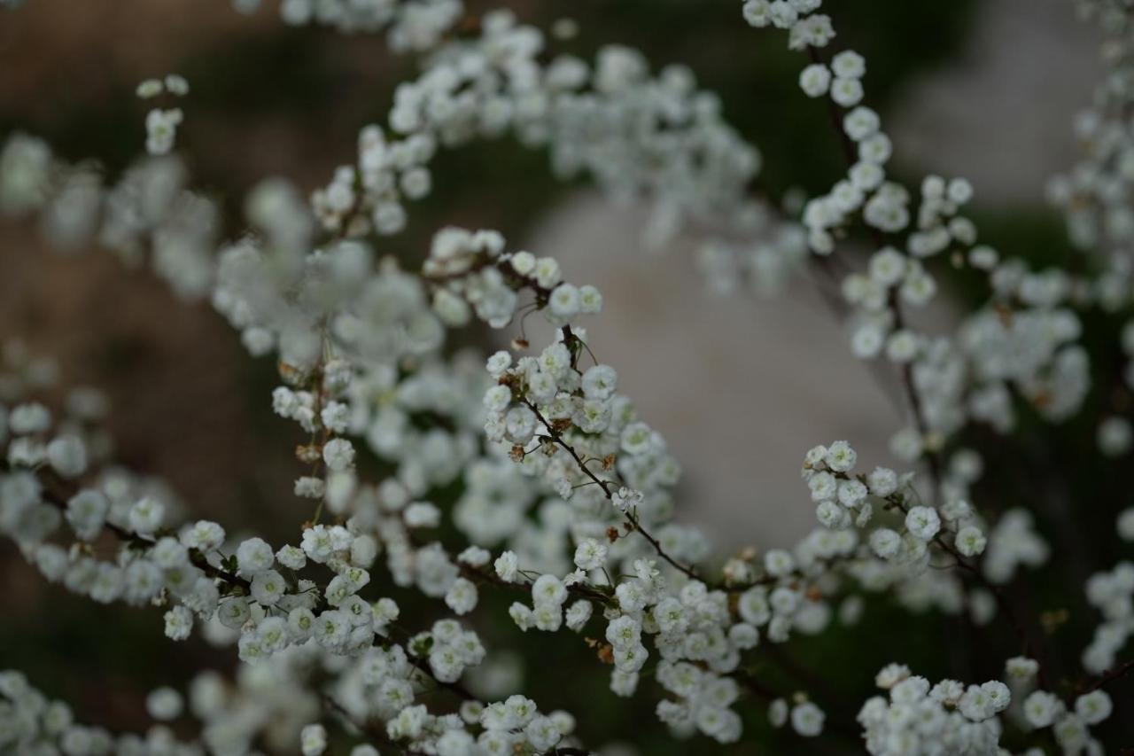 Apiflore Garéoult Esterno foto